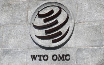 WTO says global trade system at critical juncture, urges reform