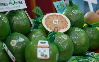 Australia suspends Vietnamese pomelo imports for 6 months over biosecurity concerns
