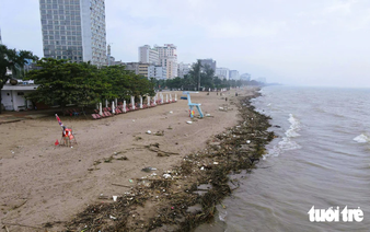 Floodwaters wash firewood, trash onto over 5km of north-central Vietnam beach