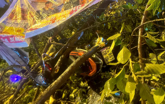 Falling tree branch kills man, injures his wife in Ho Chi Minh City
