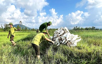 Over 20,000 bird traps dismantled in Vietnam’s Ha Tinh