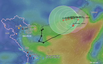 Typhoon Saudel to linger over East Vietnam Sea for several days