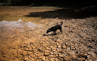 What is a 'super El Niño' and how will it affect the weather?