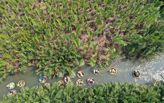 Hoi An to launch new tour at Cam Thanh Coconut Forest