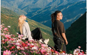 Vietnam's Ta Xua hills glow with butterfly flowers, luring visitors for photos
