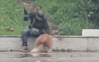 Dog-beating case at Vietnam’s Da Lat square prompts police warning, boycott calls