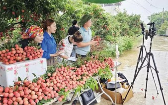 Farm produce goes online, opening wider market access