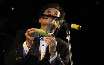 The harmonica wizard