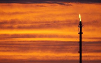 Oil prices extend losses, shares stage tepid recovery