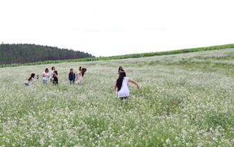 Online attacks rife on Vietnamese social networks