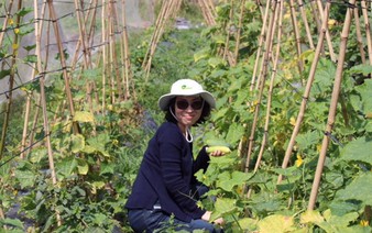 Vietnam has first vegetable farm to gain US, EU organic certification