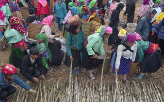 A photo visit to Vietnam’s mountainous markets