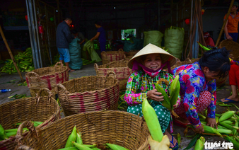 Ho Chi Minh City’s biggest corn market