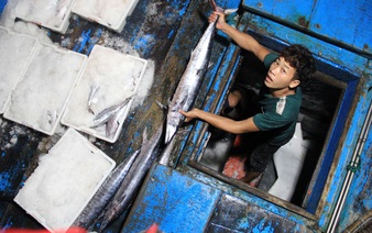 ​Vietnam’s seafood industry reacts to ‘yellow card’ from EU