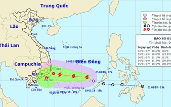 2018’s first storm enters East Vietnam Sea