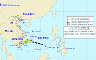Storm Bolaven weakens, likely to dissipate at sea: Vietnam forecasters