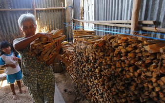 ​Dong Thap is a model for reducing internal migration in Vietnam