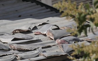 Photos show shark fins on roof of Vietnam’s embassy in Chile: media