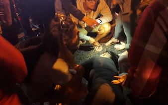 ​Da Lat eatery suspended for seven days for attacking diners