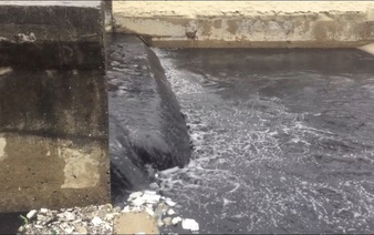 Da Nang’s famous beach spoiled by repulsive inky wastewater discharge