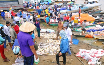 Massive fish deaths along southern Vietnamese river