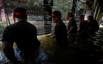 ​Tourism keeps Vietnam's ancient water puppets afloat