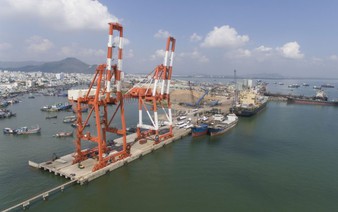 Abnormal signs found in privatization of major port in south-central Vietnam