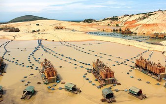 Vietnam considers banning raw ore exports