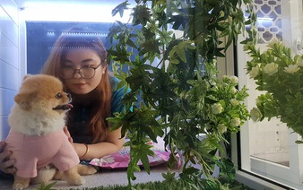 Pet sitting service emerges for Tet holiday in Vietnam