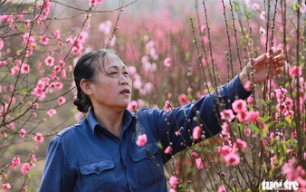Foreign diplomats send Tet wishes to Vietnamese people