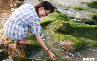 Moss-covered rocks at Da Nang beach turn Instagrammable for young Vietnamese