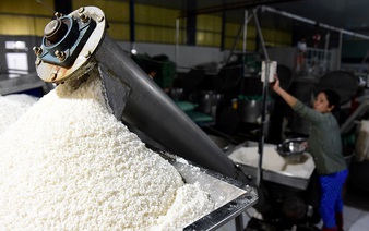 Visiting century-old ‘flour village’ in Vietnam’s rice basket