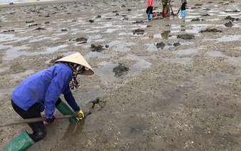 Vietnamese fisherwomen rake in big bucks with local sea worms