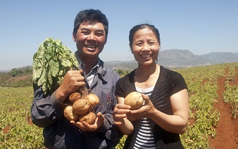 Vietnamese man gets to the root of Central Highlands’ potato problems