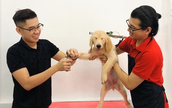 Vietnamese man delivers door-to-door spa service for pet owners