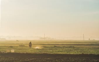 Rural Ho Chi Minh City – a hidden inspiration for photography