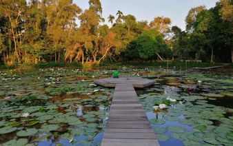 Dong Thap deserves title of Vietnam’s magical ‘land of the lotus’