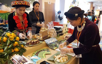 Vietnam loses 14 million int'l arrivals to COVID-19: General Statistics Office