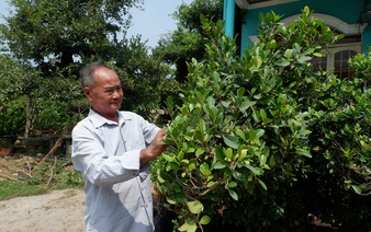 Meet the Mekong Delta’s king of plant sculpting