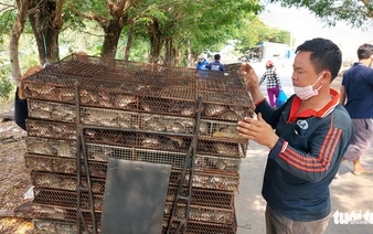 Rats! Furry rodents a best-seller in Vietnam’s Mekong Delta