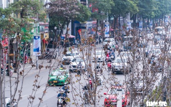 Hanoi to replace red maple trees along two major streets