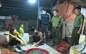 Food factory in Hanoi caught injecting prawns with filler before shipping