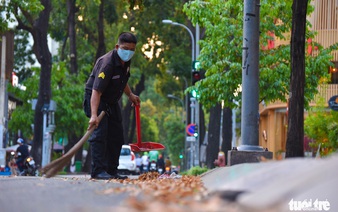 Downtown Saigon becomes a wonderland as winged seeds float down from the sky