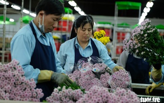 Vietnam’s Central Highlands province builds first flower trading center