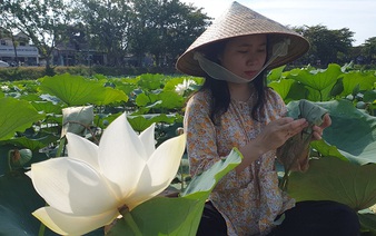 A mission to search for Vietnam's lost royal lotus flowers
