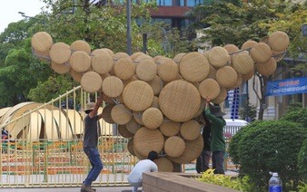 Preparation of Ho Chi Minh City's iconic flower street speeds up before showtime