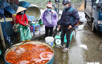What living in Vietnam has taught me about Tet holiday