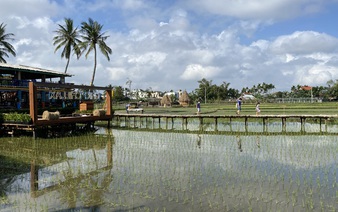 From farmers to 'models'