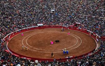 Mexico City, bastion of bullfighting, considers ban