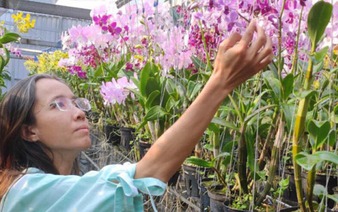 Meet Vietnam’s orchid queen